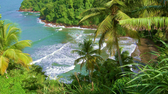 Beach trees water impressionist scenery free wallpaper - medium preview image