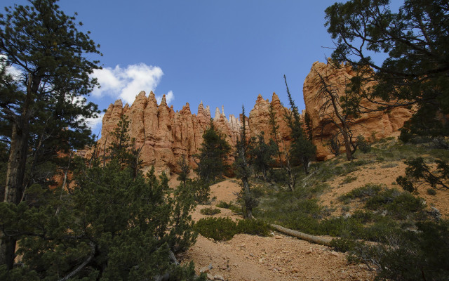 Rocky mountain trees clouds nature free wallpaper - medium preview image