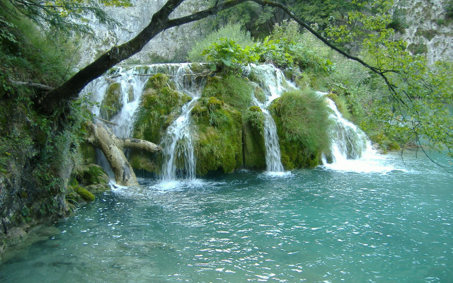 Waterfall tree lake forest nature #2 free wallpaper - medium preview image