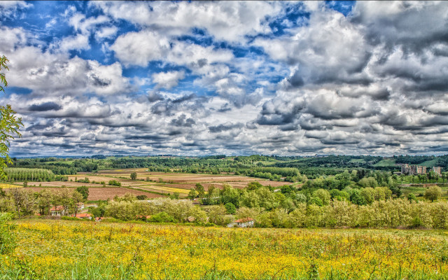 Scenic field trees clouds blue free wallpaper - medium preview image