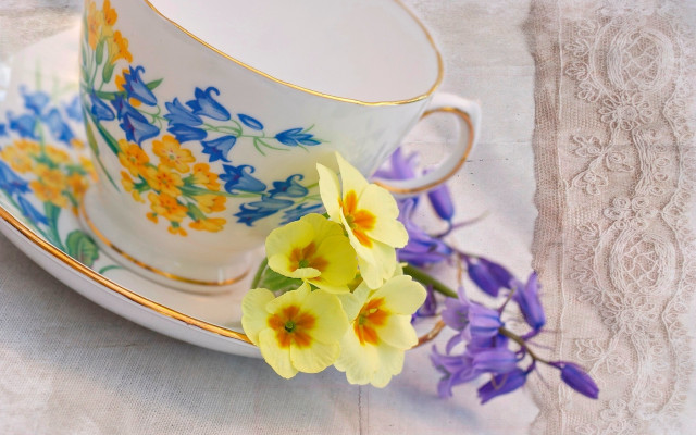 Cup flower saucer lace stilllife free wallpaper - medium preview image