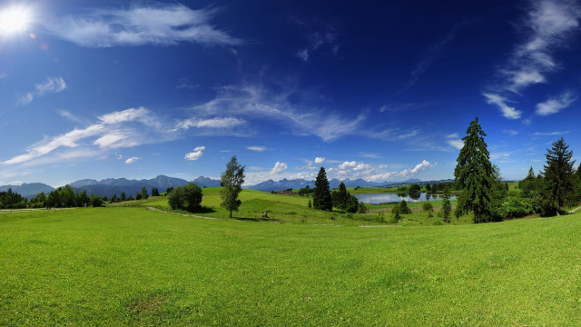 Green field trees lake sky free wallpaper - medium preview image