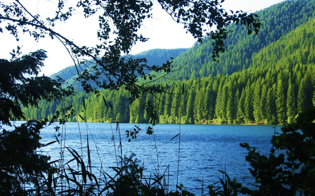 Lake mountains trees clouds park free wallpaper - medium preview image