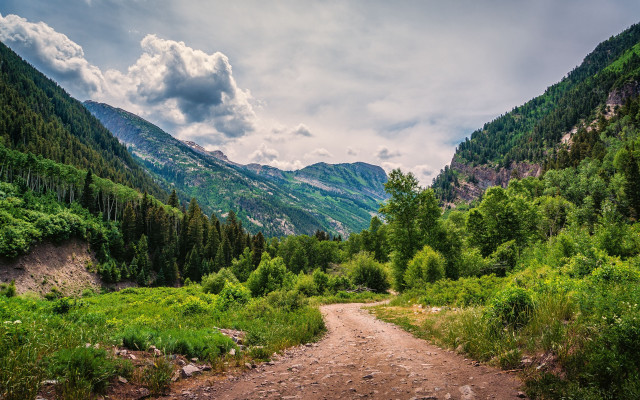 Dirt road forest mountains clouds free wallpaper - medium preview image