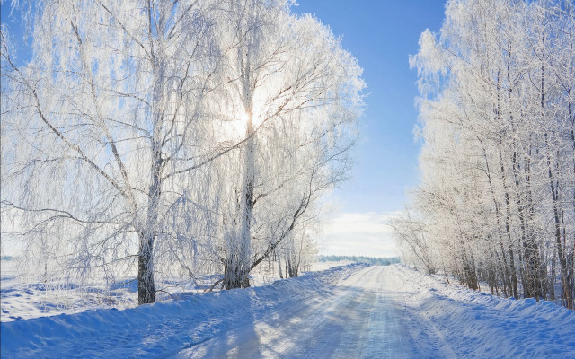 Snowy road trees blue sky #2 free wallpaper - medium preview image