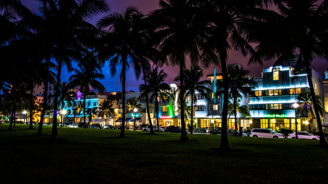 Night cityscape palm trees architecture free wallpaper - medium preview image