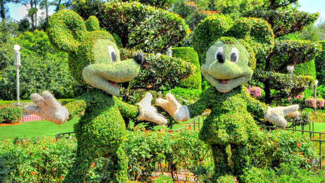 Green plants with faces park free wallpaper - medium preview image