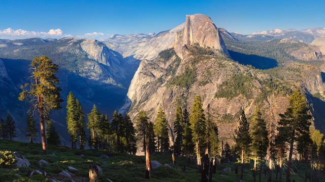 Mountain range trees background blue free wallpaper - medium preview image