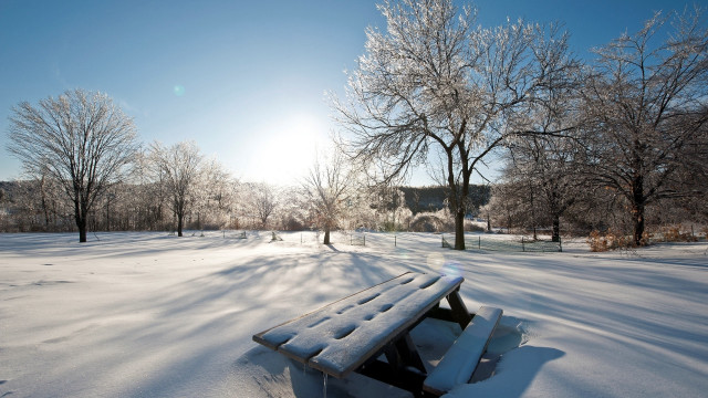Snowy park bench trees blue free wallpaper - medium preview image