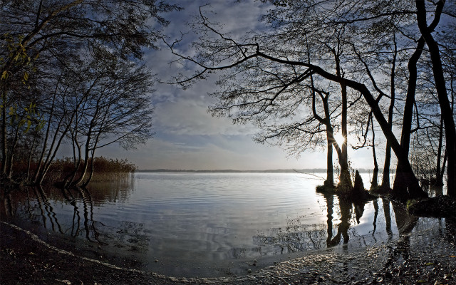 Lake tree sky clouds sunset free wallpaper - medium preview image