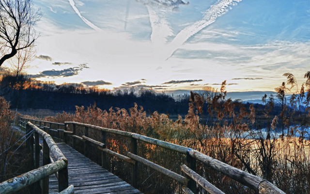 Wooden bridge lake sky bird free wallpaper - medium preview image