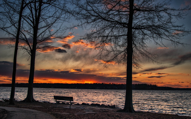 Lake bench trees sunset autumn free wallpaper - medium preview image