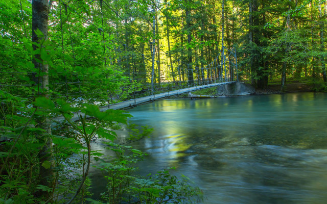 River forest bridge nature impressionist free wallpaper - medium preview image