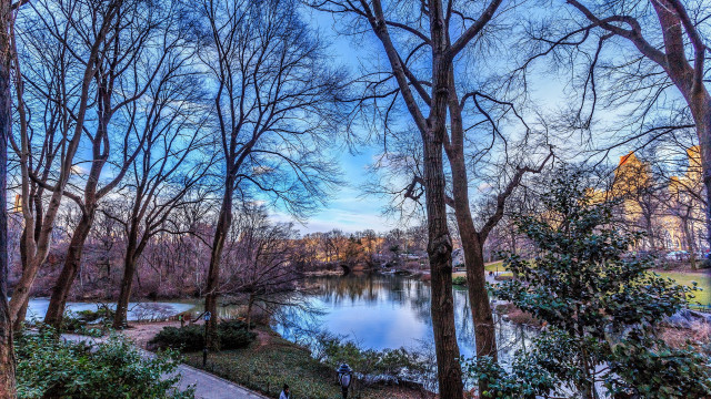 Lake trees park autumn bench free wallpaper - medium preview image