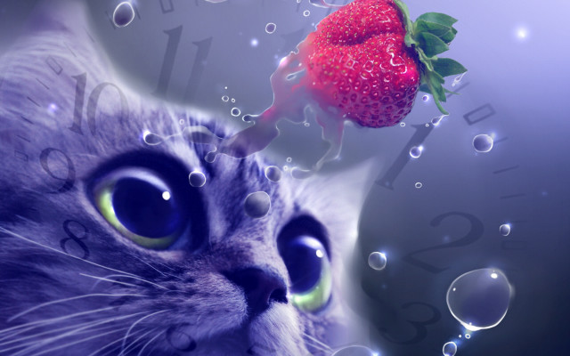 Cat strawberry bubbles clock surreal free wallpaper - medium preview image