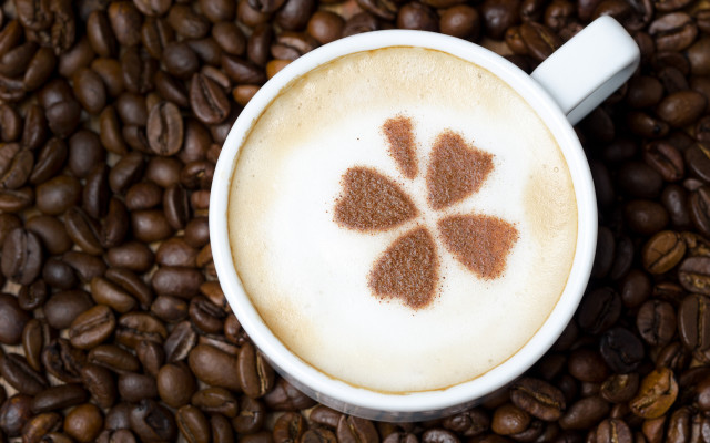 Coffee flower beans spoon morning free wallpaper - medium preview image