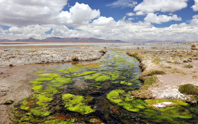 Algae stream mountains clouds ecological free wallpaper - medium preview image