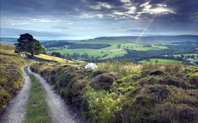 Dirt road green countryside cloudy free wallpaper - medium preview image