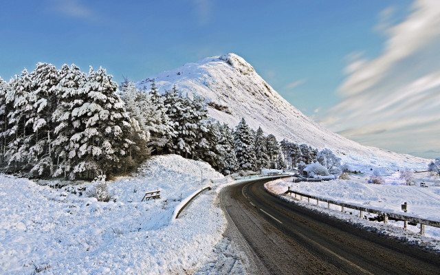 Snowy mountain road tree beach free wallpaper - medium preview image