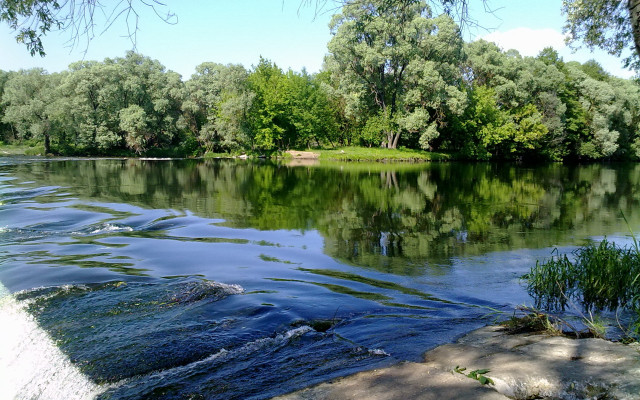 Danube island trees grass clouds free wallpaper - medium preview image
