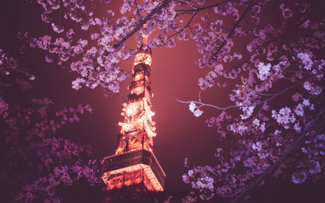Tower clock purple flowers bridge free wallpaper - medium preview image