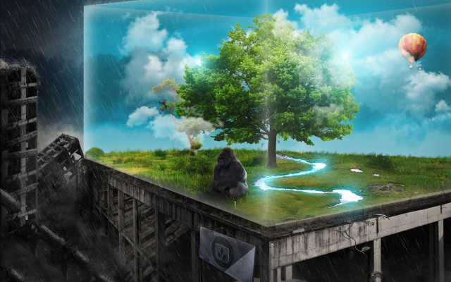 Tree person ledge rain hotairballoon free wallpaper - medium preview image