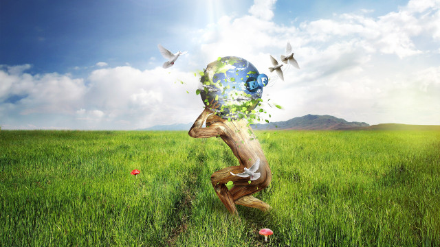 Man globe flying birds nature free wallpaper - medium preview image