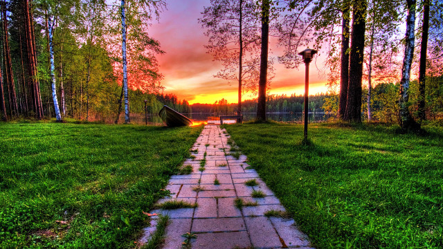 Grassy path sunset cherry blossoms free wallpaper - medium preview image