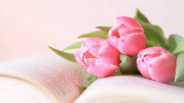 Pink flowers open book gradient free wallpaper - medium preview image