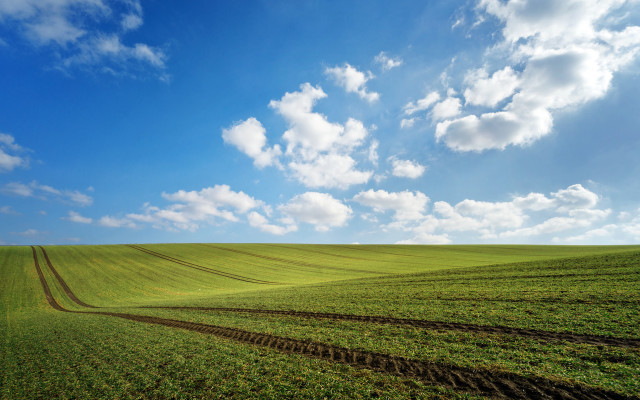 Large field sky tracks horizon free wallpaper - medium preview image