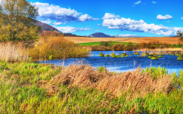 Pond trees mountain clouds field free wallpaper - medium preview image