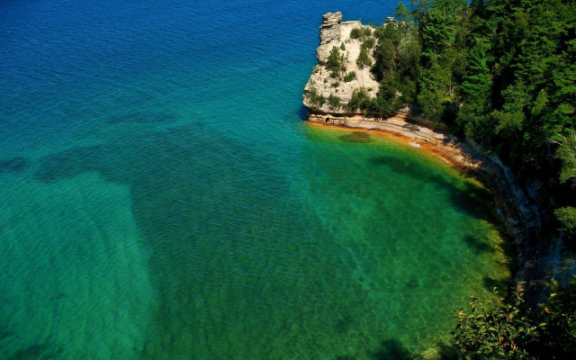 Water rock shoreline trees bush free wallpaper - medium preview image