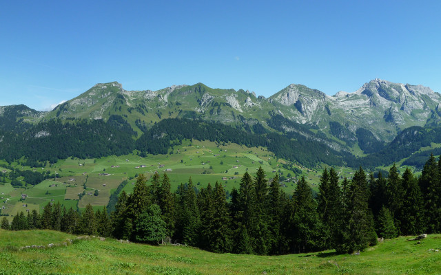 Mountain range grassy field trees #3 free wallpaper - medium preview image
