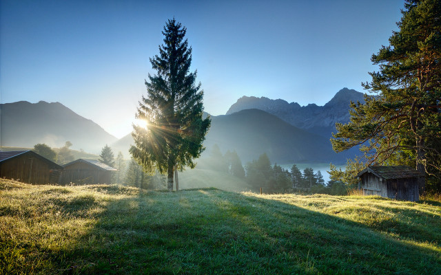 Grassy field tree mountain sunshine free wallpaper - medium preview image