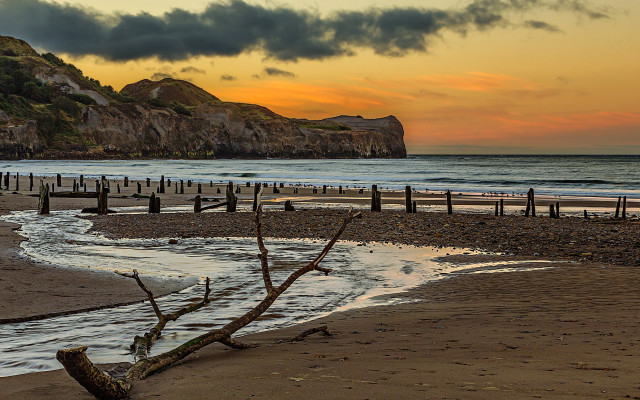 Beach tree branch rock sunset free wallpaper - medium preview image
