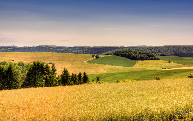 Grassy field trees hills blue free wallpaper - medium preview image