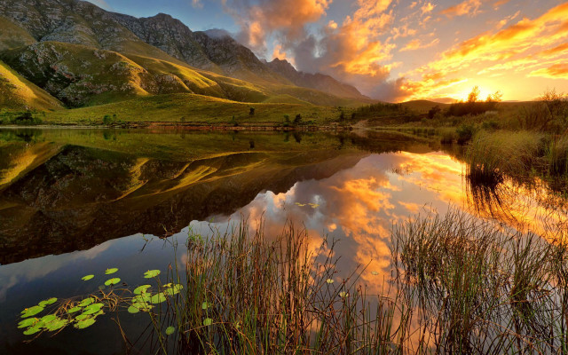 Sunset mountain lake lily pads free wallpaper - medium preview image