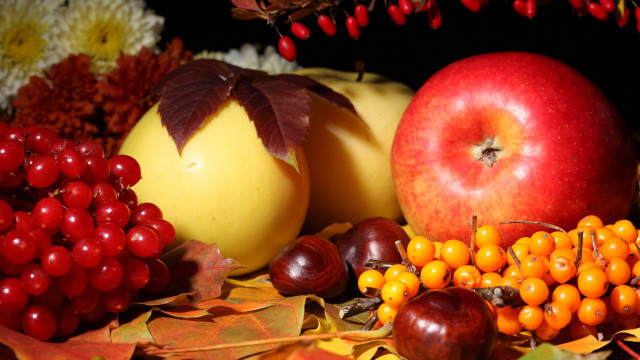 Fruit leaves berries yellow red free wallpaper - medium preview image