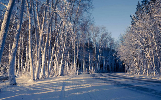 Snowy road forest city winter free wallpaper - medium preview image