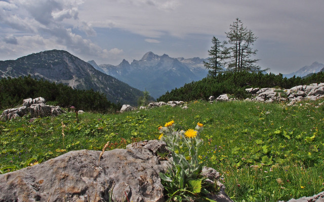 Mountain field flowers rock clouds free wallpaper - medium preview image