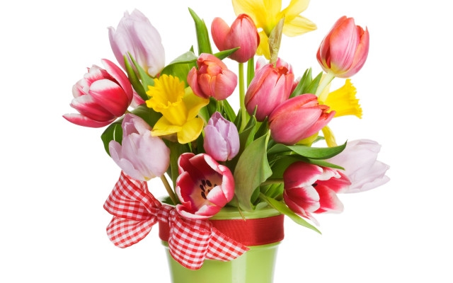 Green vase colorful flowers red free wallpaper - medium preview image
