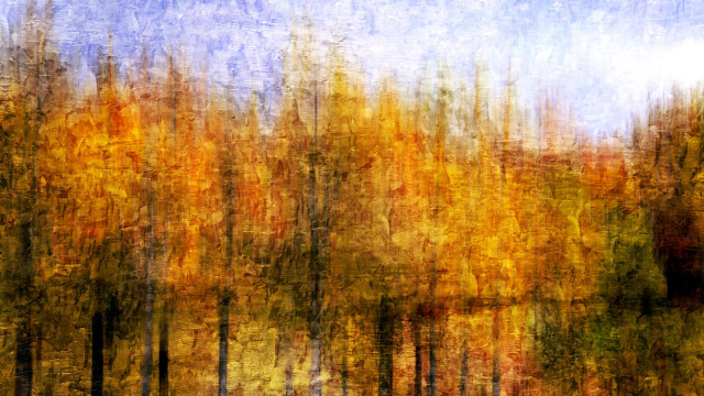 Forest autumn leaves campfire fire #2 free wallpaper - medium preview image