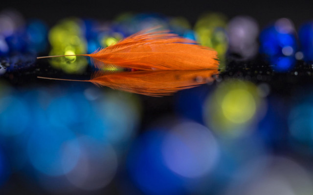 Feather bokeh moon lensflare rainbow free wallpaper - medium preview image