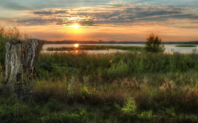 Sunset lake tree stump hudson free wallpaper - medium preview image