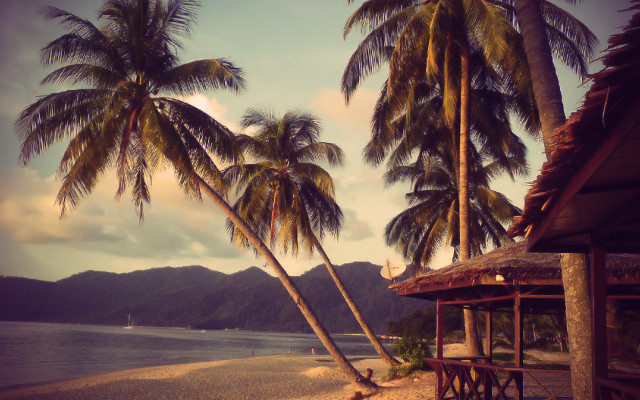 Hut beach palm trees mountain free wallpaper - medium preview image