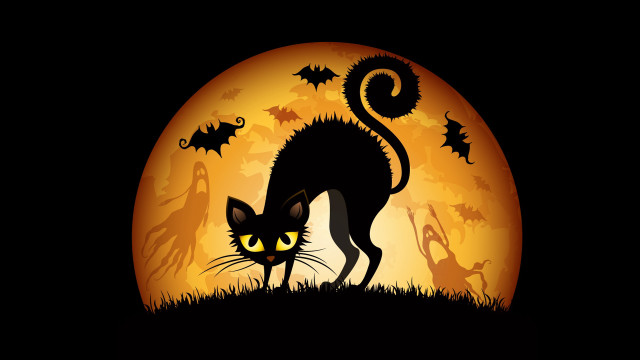 Black cat full moon bats free wallpaper - medium preview image