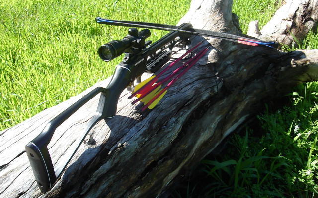 Fishing rod log grass tree free wallpaper - medium preview image