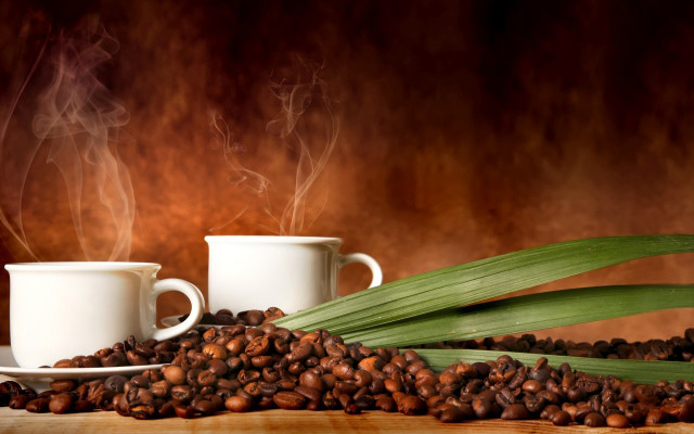 Coffee cups beans leaves steam free wallpaper - medium preview image
