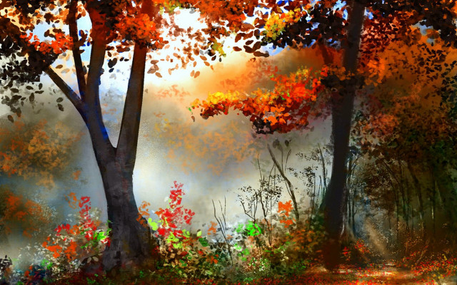 Forest sunset autumn leaves flame free wallpaper - medium preview image