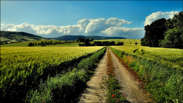 Dirt road green field cloudy #7 free wallpaper - medium preview image